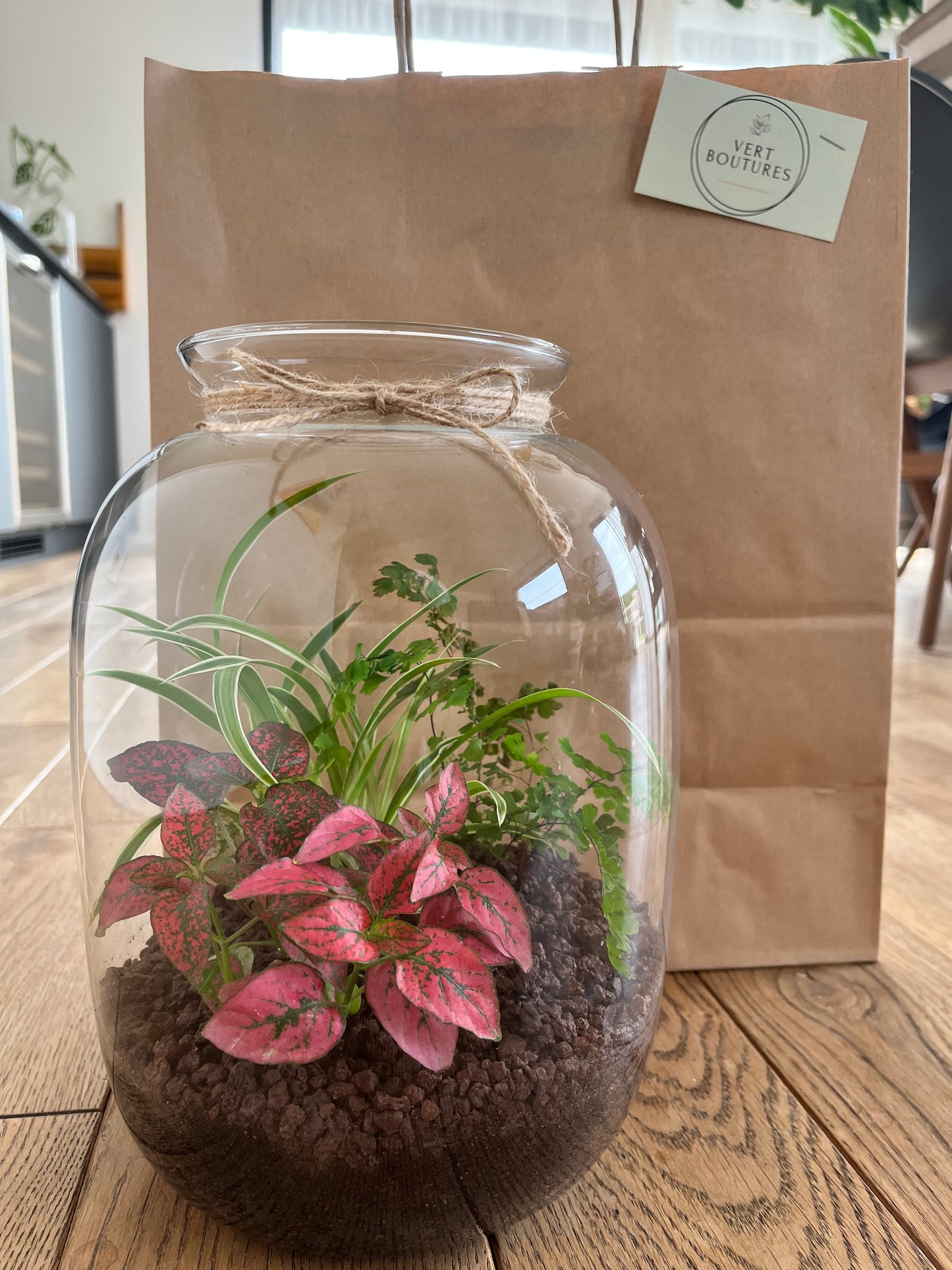 Terrariums ( uniquement retrait Thonon les bains/alentours)